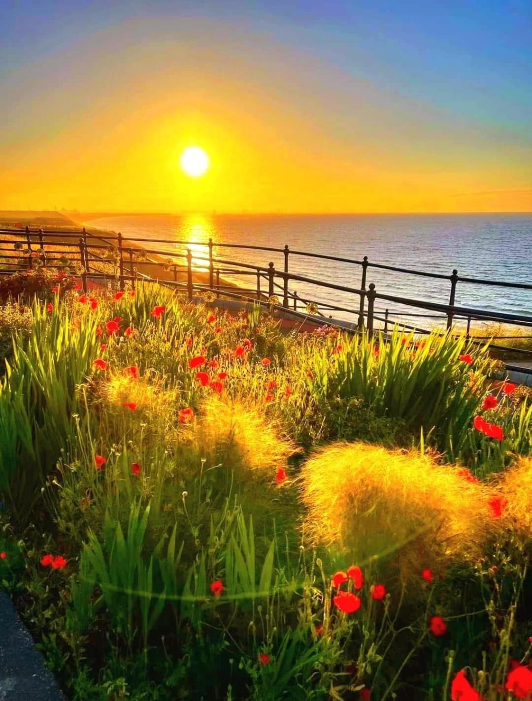 Sea Forever Oceanfront Home Perfectly Saltburn Extérieur photo