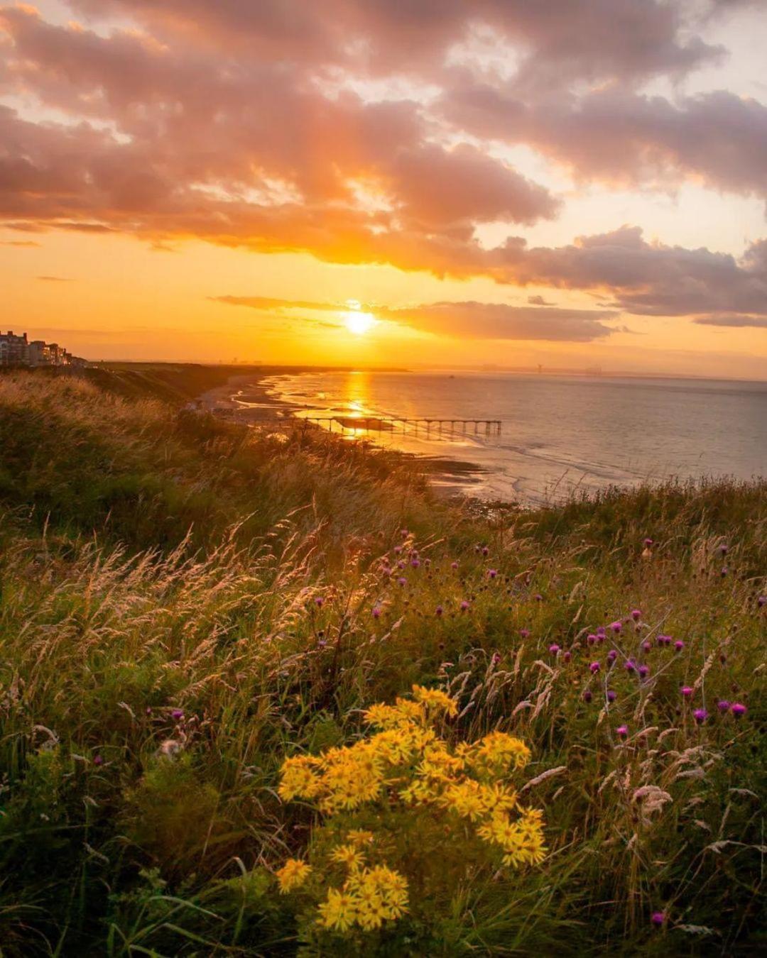 Sea Forever Oceanfront Home Perfectly Saltburn Extérieur photo